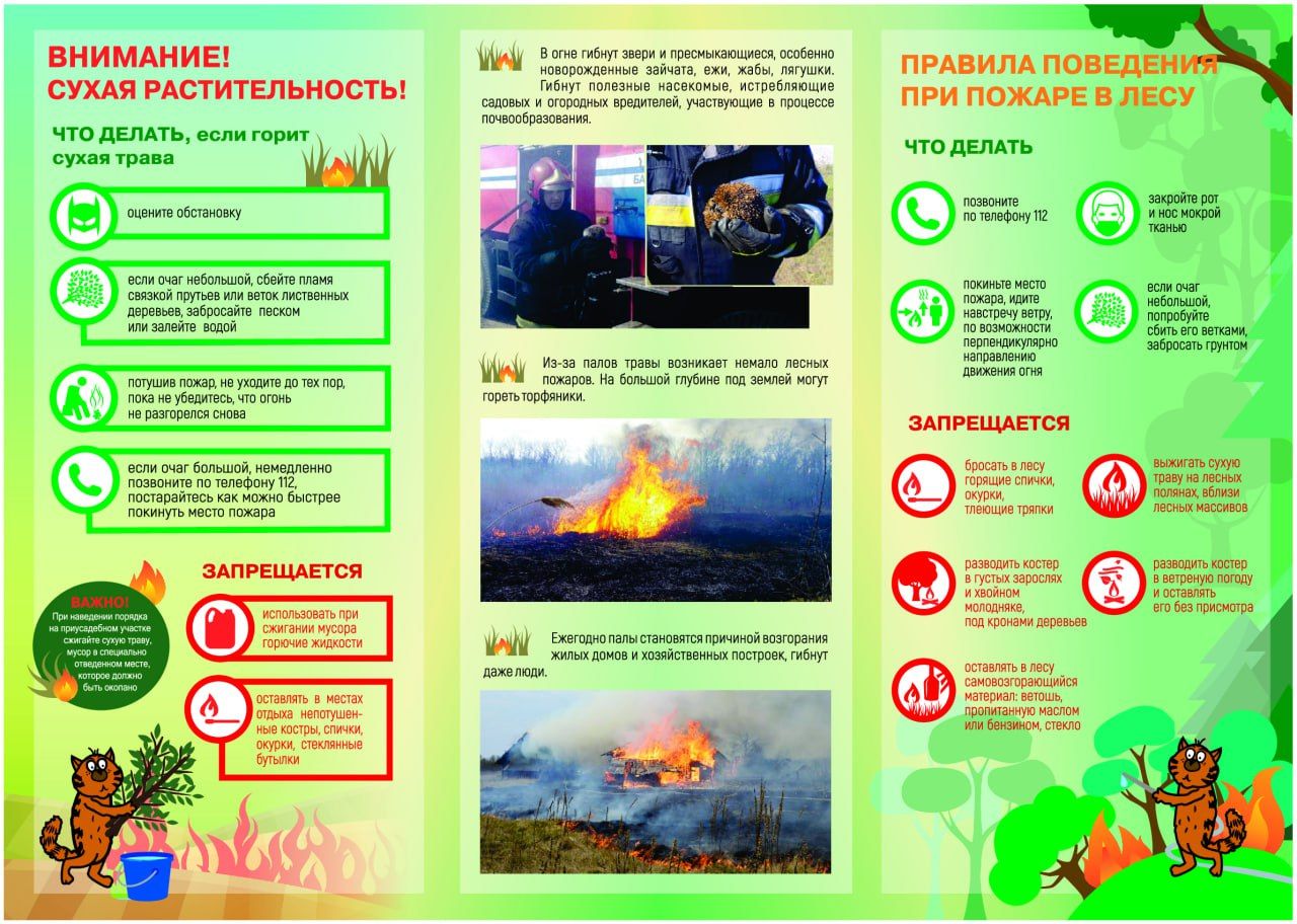 Пожарная безопасность - СШ П.МУХАВЕЦ